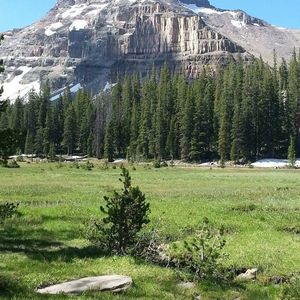 Meet your Posher, Larry